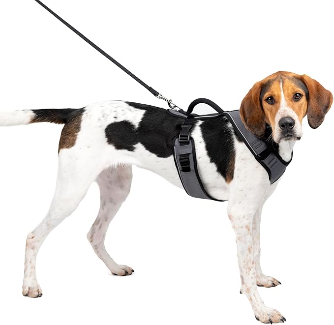 PetSafe EasySport Dog Harness - Padded, Adjustable Dog Harness with Control Handle and Reflective Piping - Great for Active Dogs - from The Makers of The Easy Walk Harness - Large, Charcoal