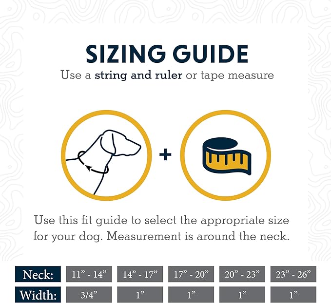 Ruffwear, Web Reaction Dog Collar, Martingale Collar for On-Leash Walking, Granite Gray, 20"-23"