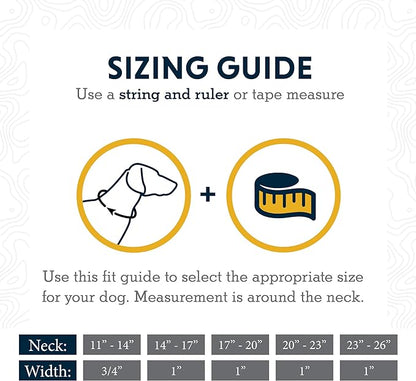 Ruffwear, Web Reaction Dog Collar, Martingale Collar for On-Leash Walking, Granite Gray, 20"-23"