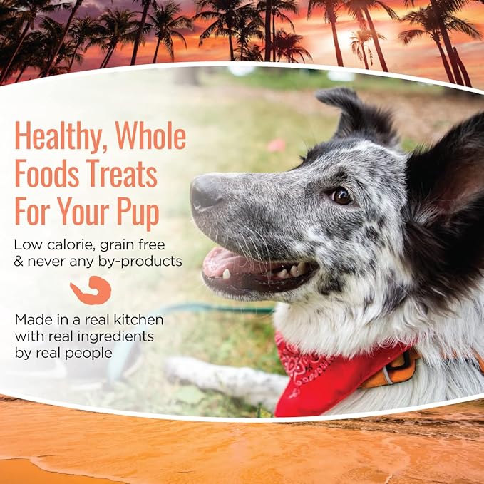 All Natural Dog Treats - Shrimp & Coconut - Training Treats for Dogs with Allergies, Sensitive Stomachs - Soft Dog Treats, Chewy, Grain Free, Human-Grade, Made in USA - 5oz, Pack of 3