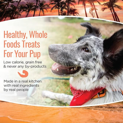 All Natural Dog Treats - Shrimp & Coconut - Training Treats for Dogs with Allergies, Sensitive Stomachs - Soft Dog Treats, Chewy, Grain Free, Human-Grade, Made in USA - 5oz, Pack of 3