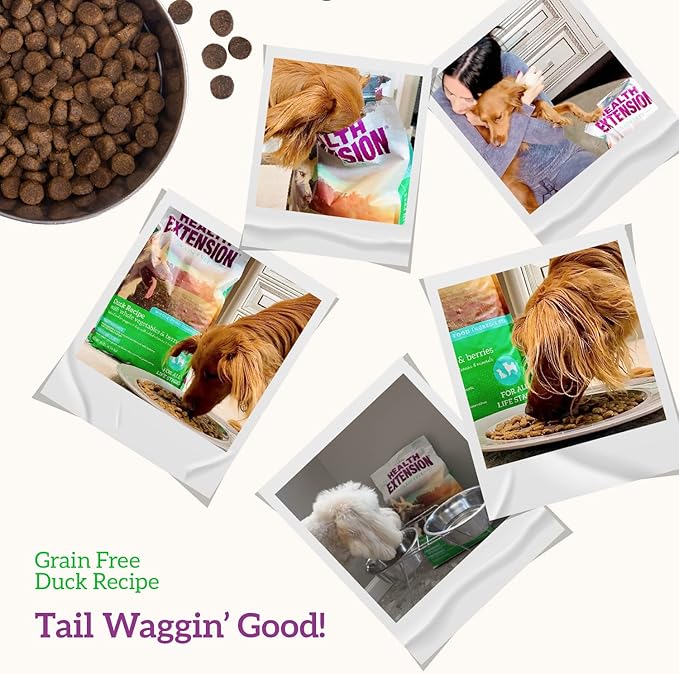 Health Extension Dry Dog Food, Natural Food with added Vitamins & Minerals, Suitable for All Puppies, Duck & Sweet Potato Recipe with Whole Vegetable & Berries (23.5 Pound)