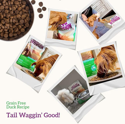 Health Extension Dry Dog Food, Natural Food with added Vitamins & Minerals, Suitable for All Puppies, Duck & Sweet Potato Recipe with Whole Vegetable & Berries (23.5 Pound)