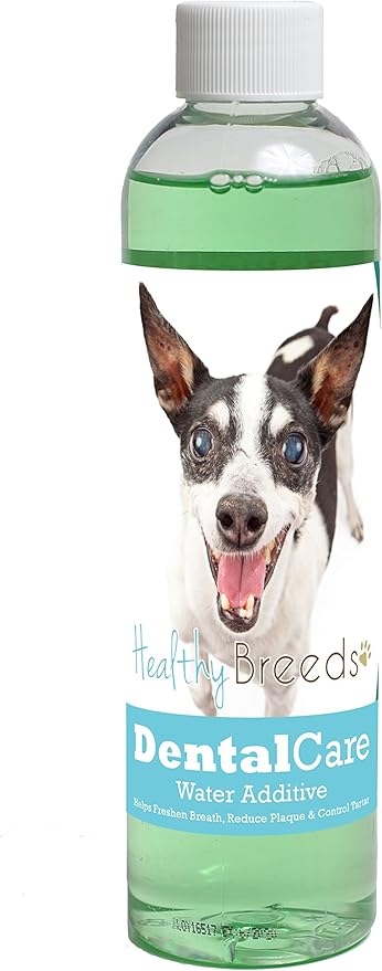 Healthy Breeds Dog Dental Care Water Additive for Rat Terrier - Helps Freshen Breath, Reduce Plaque & Control Tartar - Mint Flavor - 8 oz