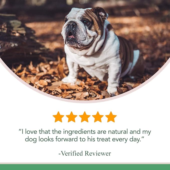 Veterinary Naturals Hip & Joint Supplement for Dogs - 60 Soft Dog Chews for Hip & Joint Support - Dog Vitamins and Supplements with Glucosamine for Dogs & MSM - Grain-Free, Roasted Chicken Flavor