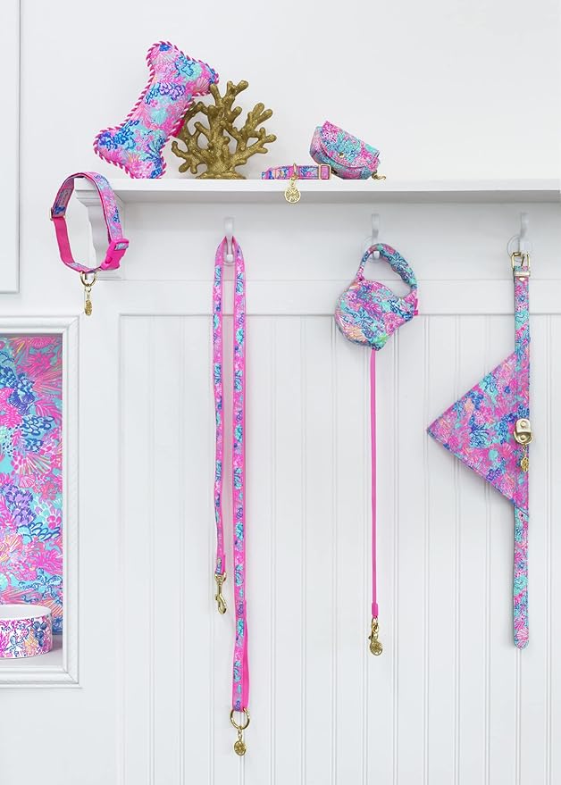 Lilly Pulitzer Cute Dog Leash with Handle Loop, Long Walking Lead Holds Pets Up to 90 Pounds, Splendor in The Sand (S/M)