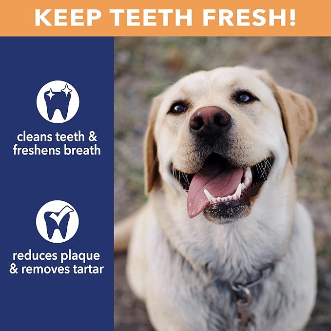 Pet Factory CareChewz Collagen 6-7" Skinny Braided Sticks Dog Chew Treats - Natural Flavor, 15 Count/1 Pack