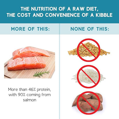 Ketona Salmon Recipe Adult Dry Dog Food, Natural, Low Carb (Only 5%), High Protein (46%), Grain-Free, The Nutrition of a Raw Diet with The Cost and Convenience of a Kibble; 24.2 lb