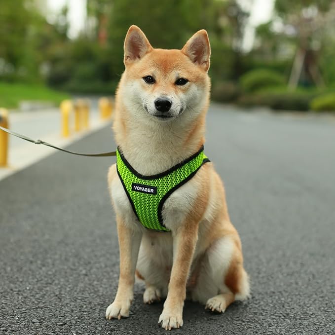 Voyager Step-in Air Dog Harness - All Weather Mesh Step in Vest Harness for Small and Medium Dogs by Best Pet Supplies - Lime Green (2-Tone), XS