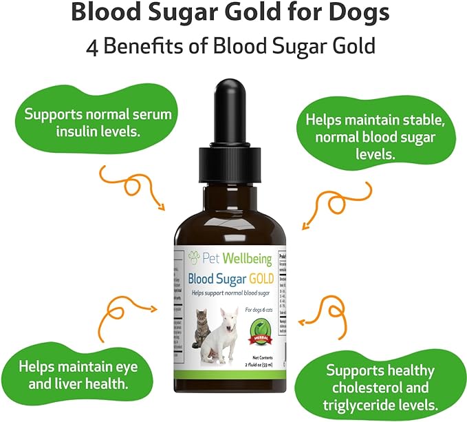 Pet Wellbeing Blood Sugar Gold for Dogs - Vet-Formulated - Supports Blood Sugar Balance, Healthy Pancreas & Liver - Natural Herbal Supplement 2 oz (59 ml)