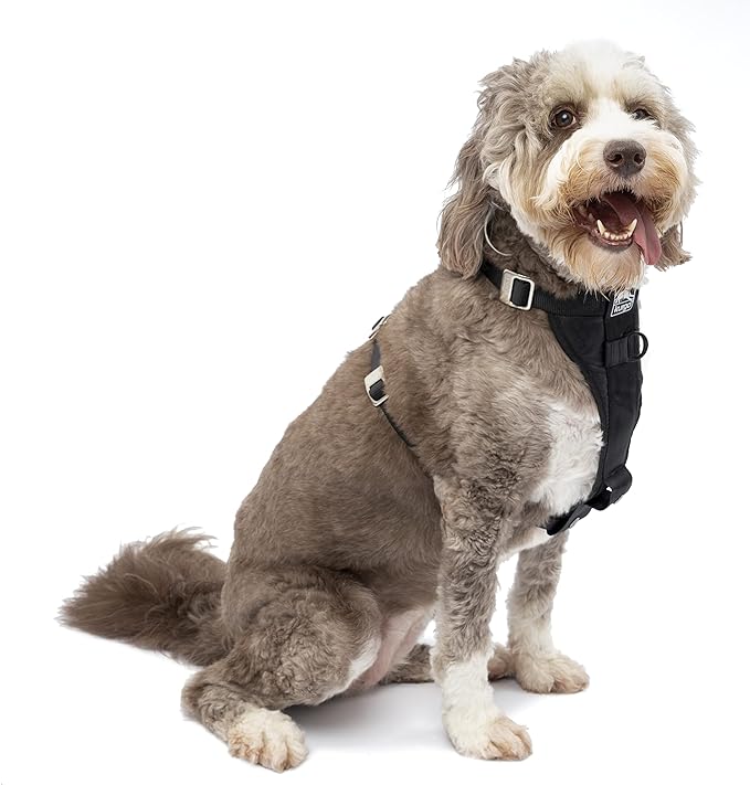 Kurgo Tru-Fit Enhanced Strength Dog Harness - Certified Crash Tested Car Safety Harness for Dogs - Metal Buckles, Padded Chest - includes Pet Seatbelt - No Pull Training - Black, XL