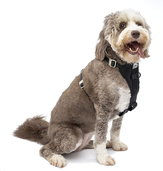 Kurgo Tru-Fit Enhanced Strength Dog Harness - Crash Tested Car Safety Harness for Dogs, No Pull Dog Harness, Includes Pet Safety Seat Belt (Black, Large)