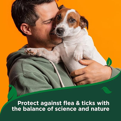 Vet’s Best Flea & Tick Dog Easy Spray – Cotton Spice Scent – Natural Flea & Tick Prevention – Kills Fleas & Ticks for Dogs – 14oz