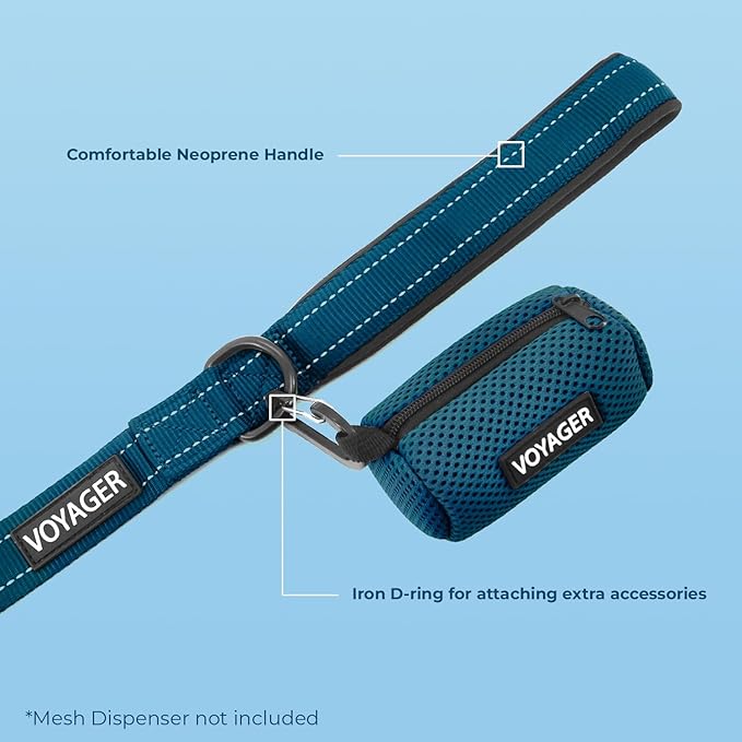 Voyager Reflective Dog Leash Collar Set with Neoprene Handle Supports Small, Medium, and Large Breed Puppies, Cute and Heavy Duty for Walking, Running, and Training - Blue, L