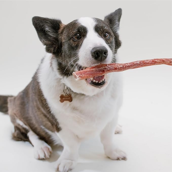 Pupford Thick Bully Sticks for Dogs & Puppies, Smoked for Improved Smell, Natural, Long-Lasting, Single Ingredient Chews for Medium & Large Breeds (12", 10 Count)
