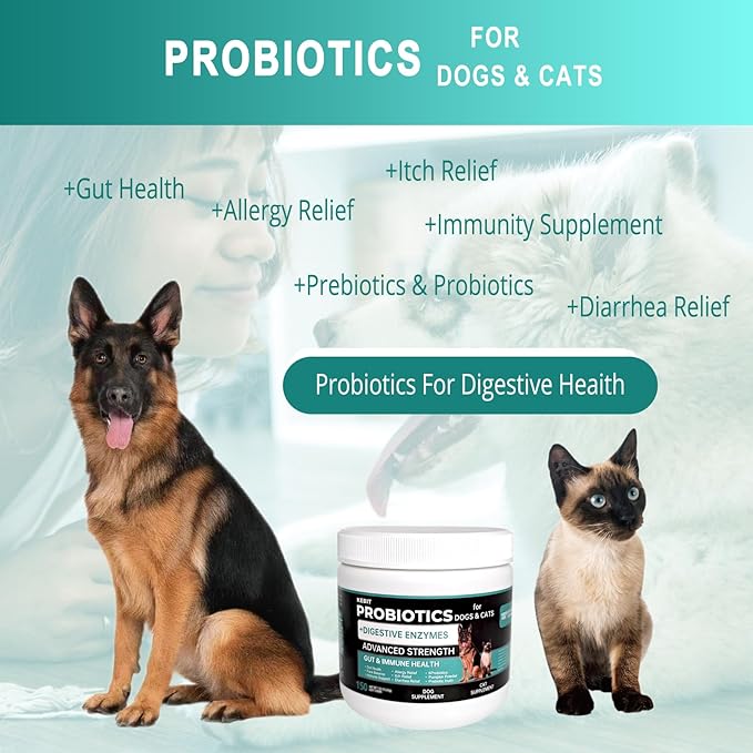 pet probiotic chewable Tablets, Dog and cat probiotics for Diarrhoea Relief, Scratching, Allergies and Gut Health Support, Immune Support Supplements （Chicken Flavour 150pcs）