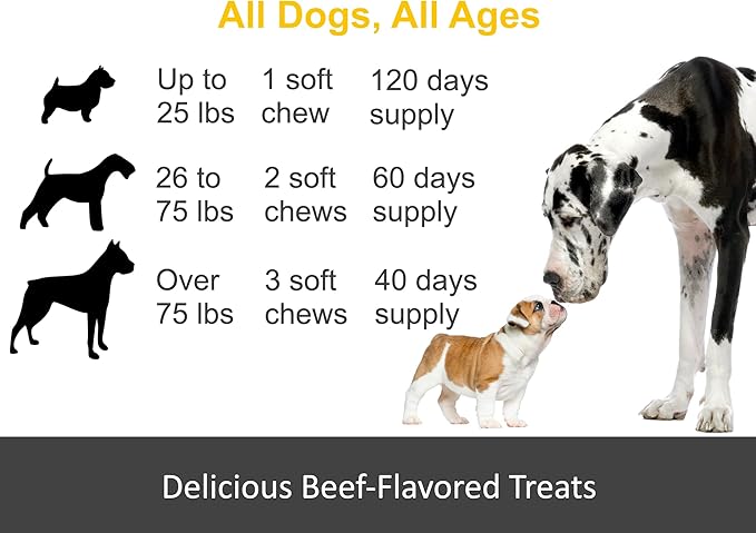 Allergy Relief for Dogs. Omega 3, Pumpkin & Probiotics for Dog Seasonal Allergies & Itchy Skin. Strengthens Immune System & Improves Digestive Health. Made in USA. 120 Soft Chews