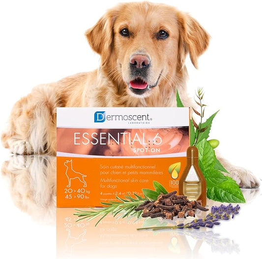 Dermoscent Essential 6 spot-on - Dog Skin Care for Dandruff & Allergy Relief with Vitamin E Oil - Anti Itch for Dogs - Natural Ingredients for Sensitive Skin - Dogs 20-40 kg - 4 Pipettes of 2.4 ml