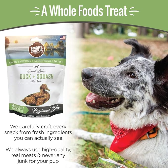 All Natural Dog Treats - Duck & Squash - Training Treats for Dogs with Allergies or Sensitive Stomachs - Soft Dog Treats, Grain Free Dog Treats, Chewy, Human-Grade, Made in USA - 5oz Bag