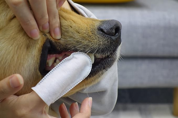 FRESH FRIENDS Best Dog Dental Care Finger Wipes - Reduces Plaque & Freshens Breath - Dental Wipes for Dogs Teeth Cleaning - Dog Dental Wipes - Dog Tooth Wipes - 50 Count - Peppermint & Aloe Vera