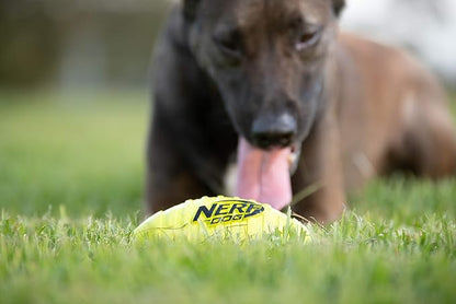 Nerf Dog Rubber Football Dog Toy with Squeaker, Lightweight, Durable and Water Resistant, 7 Inch Diameter for Medium/Large Breeds, Single Unit, Green, Model:6997