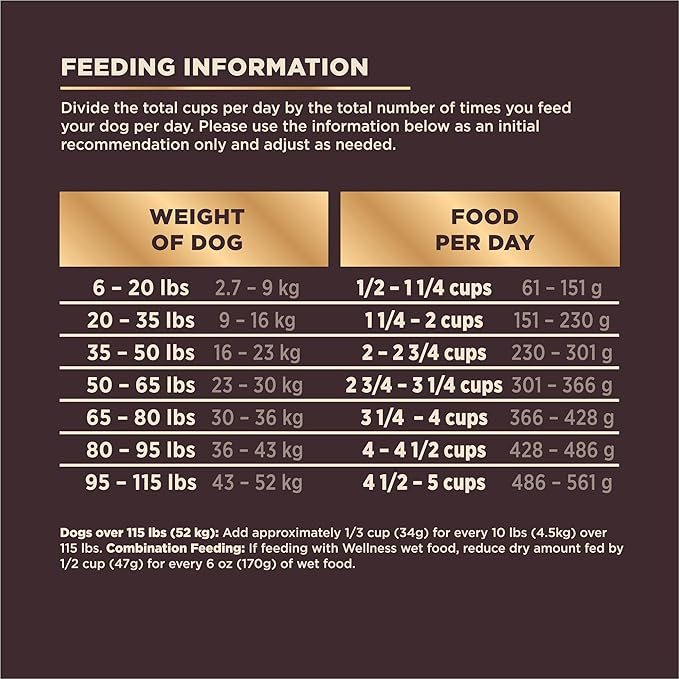 Wellness CORE RawRev Dry Dog Food with Wholesome Grains, Natural Ingredients, Made in USA with Real Freeze-Dried Meat (Adult, Ocean, 4 lbs)