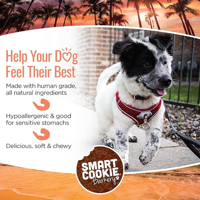 All Natural Dog Treats - Shrimp & Coconut - Training Treats for Dogs with Allergies, Sensitive Stomachs - Soft Dog Treats, Chewy, Grain Free, Human-Grade, Made in USA - 5oz, Pack of 3