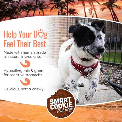 All Natural Dog Treats - Shrimp & Coconut - Training Treats for Dogs with Allergies, Sensitive Stomachs - Soft Dog Treats, Chewy, Grain Free, Human-Grade, Made in USA - 5oz, Pack of 3