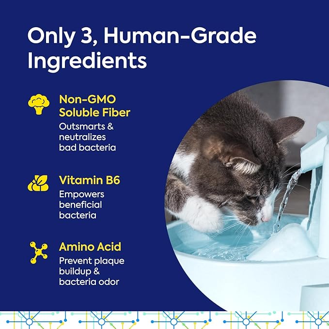 Protektin42+K Plant-Derived Daily Dental Care for All Pets (Sodium-Free), Dental Water Additive, Fights Plaque and Tartar, Dental Kit with 30 Servings for Life