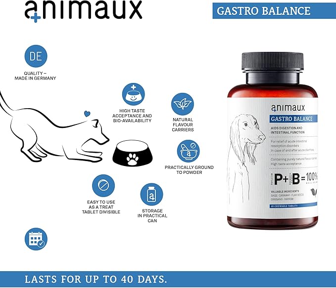 animaux – Gastro Balance for Dogs, Digestive Health Support and Probiotics, Brewer’s Yeast, Fennel, Helps to Relieve Diarrhea, Excess Winds, Irritable Bowel, 40 Chewable Tablets, 40 days supply
