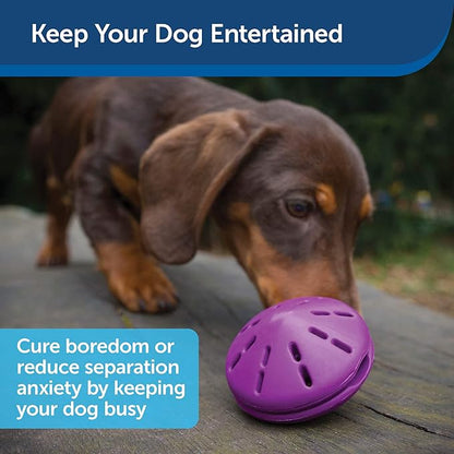 PetSafe Busy Buddy Twist 'n Treat Dispensing Dog Toy - Small