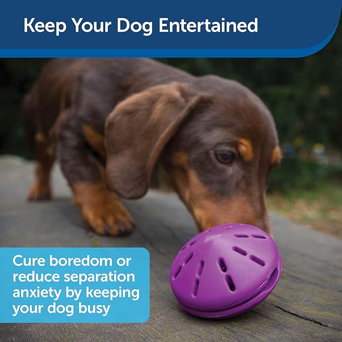 PetSafe Busy Buddy Twist 'n Treat Dispensing Dog Toy - Medium