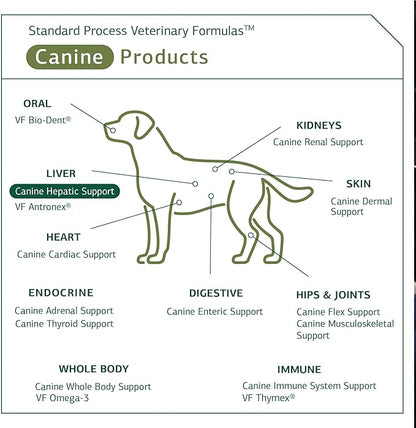Standard Process - Canine Hepatic Support - Liver Metabolism Support for Dogs - 30 Grams