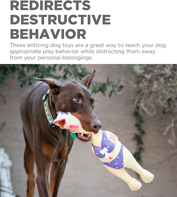 Outward Hound Squawkers Henrietta Latex Rubber Chicken Interactive Dog Toy, Large