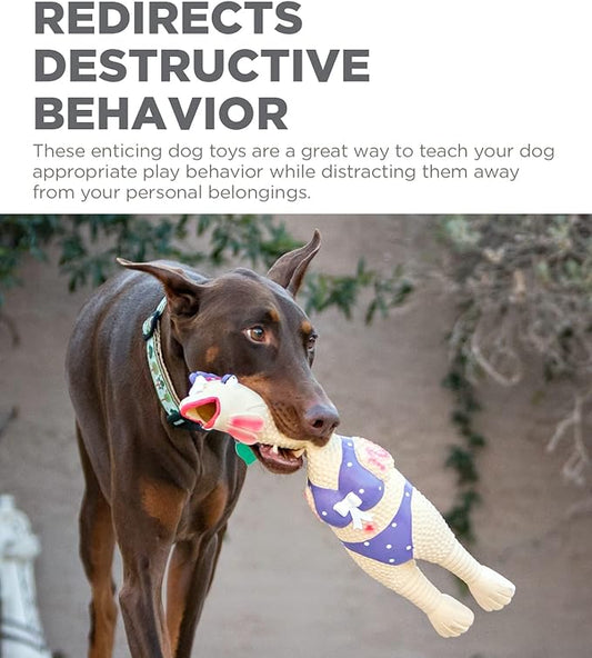 Outward Hound Squawkers Henrietta Latex Rubber Chicken Interactive Dog Toy, Large