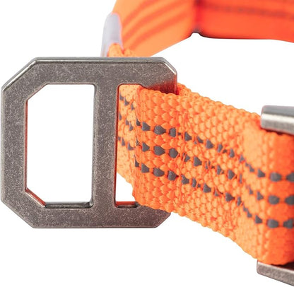 Carhartt Dog Collar Hunter Orange/Brushed Nickel Medium
