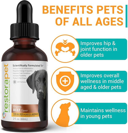RestoraPet 2-Pack Dog & Cat Beef Liquid Multivitamin | Dog Arthritis Pain Relief | Hip & Joint Vitamins for Dogs - Anti Inflammatory Supplement for Dogs & Cats | Organic & Non-GMO, Vet Approved