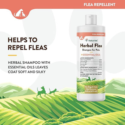 NaturVet Herbal Flea Pet Shampoo with Essential Oils – Helps Against Fleas, Insects – Deodorizing Dog Shampoo – Includes Rosemary, Cedarwood, Geranium, White Thyme Oils – 16 Oz.