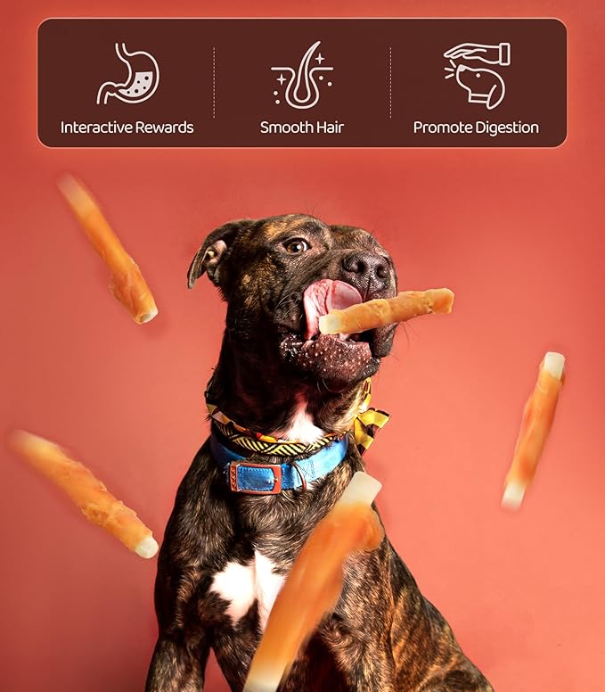 16OZ High Protein Dog Chewy Treats Biscuits, Chicken Wrapped Dog Biscuits Rawhide Free Soft Chewy Treats Training for Dogs