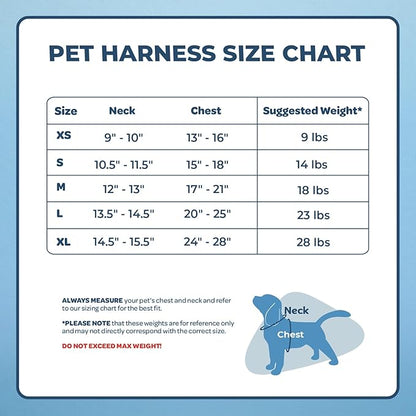 AeroLite No Pull Mesh Dog Harness with Lightweight, Soft, Breathable Chest Coverage, Reflective Stitching, and Adjustable Straps for Walking, Running, Training, Heavy Duty and Durable - Turquoise, XS