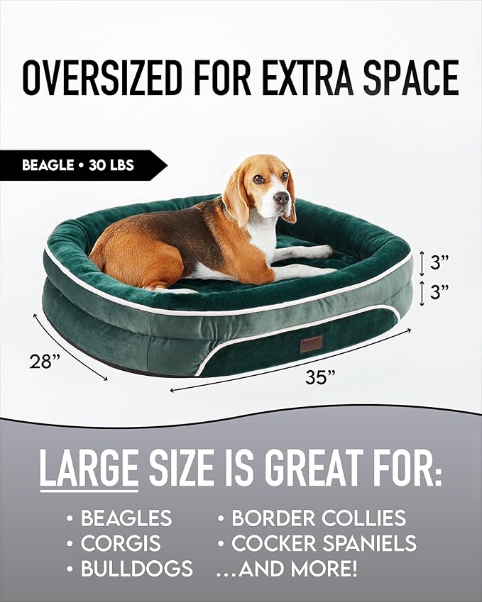 Orthopedic Dog Bed for Large Dogs, Dog Couch Design with Egg Foam Support, Removable, Machine Washable Plush Cover and Non-Slip Bottom with Four Sided Bolster Cushion (Dark Green)