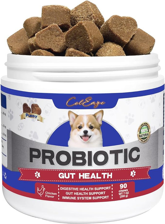 Probiotics for Dogs with 6 Digestive Enzymes, Anti Diarrhea, Aiding with Dog Upset Stomach, Pre and Probiotic Soft Chews for Dogs, Digestive Health Support Chicken Flavor 90 Count