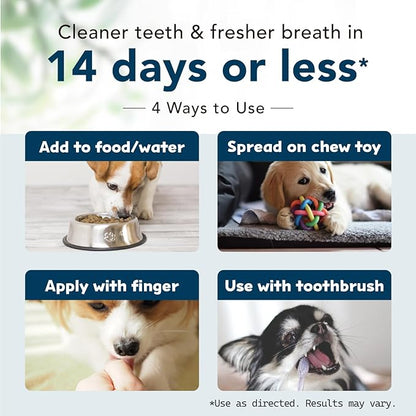 Brushless Organic Dog Toothpaste | Dog Breath Freshener | Dog Tooth Brushing Kit | Dog Teeth Cleaning | Reduce Plaque & Tartar | Vet Formulated (DR. DENTAL WAN Enzymatic Toothpaste for Dogs)