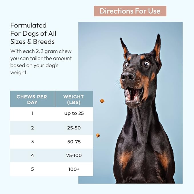 Gnawty Bites Omega Shine Dog Allergy Relief | Skin & Coat Strengthening Probiotics for Dogs with DHA Gold, Wild Alaskan Salmon Oil, Omega-6, Omega-9 & Omega-3 for Dog | 120 Soft Chews - (264 G)
