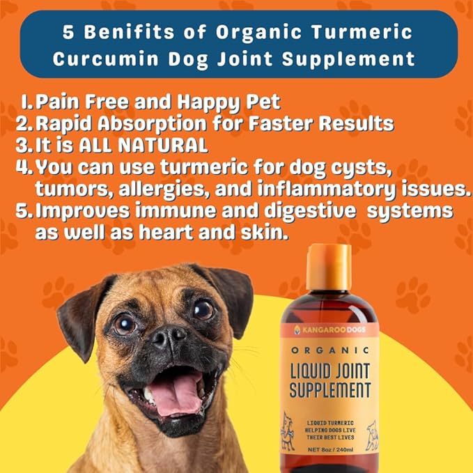 Organic Turmeric Curcumin Dog Joint Supplement - Liquid for Faster and Better Absorption Natural Dog Joint Supplement Liquid (8 oz)