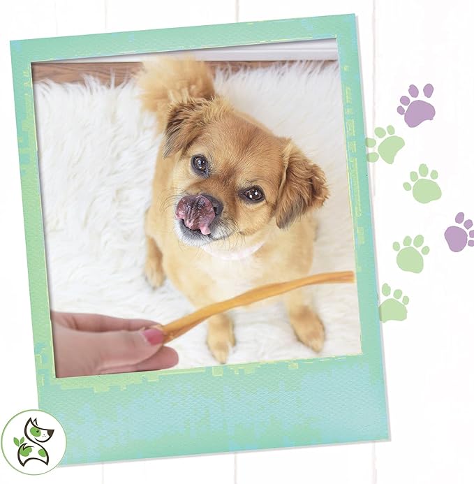 Nature Gnaws Super Skinny Bully Sticks for Small Dogs - Premium Natural Beef Dental Bones - Tasty Thin Dog Chew Treats for Toy Breeds & Puppies - Rawhide Free 40 Count (Pack of 1)
