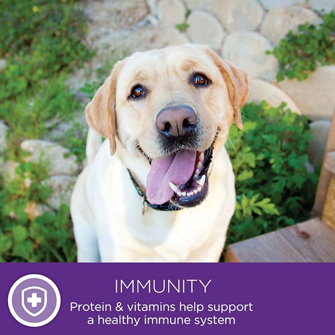 Wellness 95% Chicken Natural Wet Grain Free Canned Dog Food, 13.2-Ounce Can