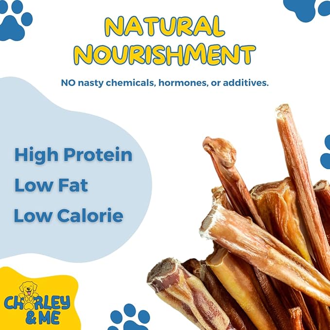 CHARLEY & ME Premium Bully Sticks for Dogs - 100% Natural Beef Dog Treats, Long-Lasting Dog Chew for Aggressive Chewers, Nutritious Joint Support for Dogs 6 Inches (Pack of 12)