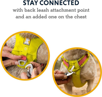 Ruffwear, Hi & Light, Everyday Lightweight Dog Harness, Trail Running, Walking, Hiking, All-Day Wear, Blue Dusk, XX-Small