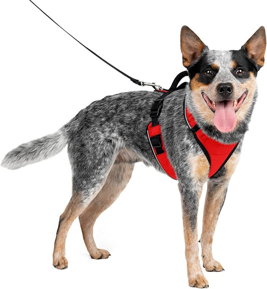 PetSafe EasySport Dog Harness, Adjustable Padded Dog Harness with Control Handle and Reflective Piping, From the Makers of the Easy Walk Harness Red Medium